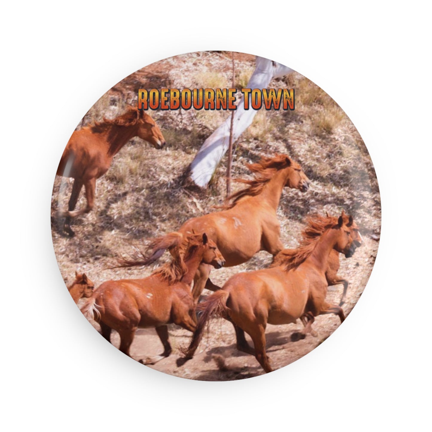 {{ product.title }} | {{ product.type }} from Roebourne Town