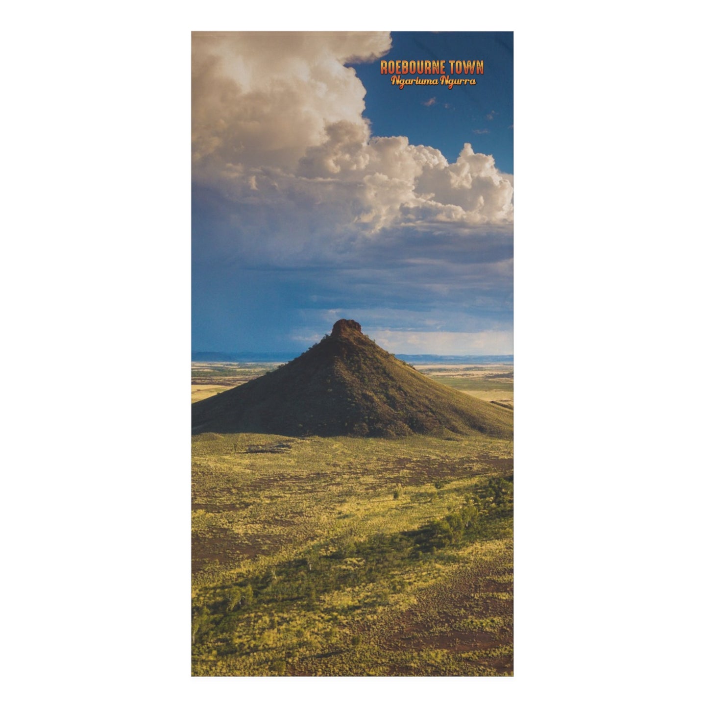 {{ product.title }} | {{ product.type }} from Roebourne Town