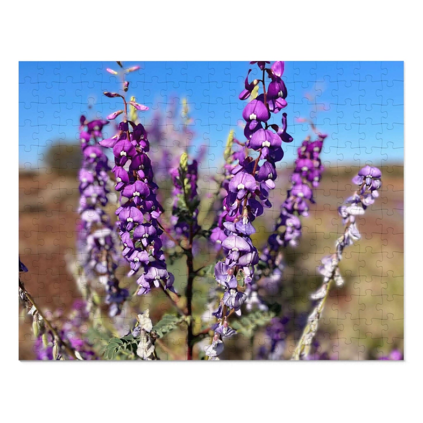 {{ product.title }} | {{ product.type }} from Roebourne Town