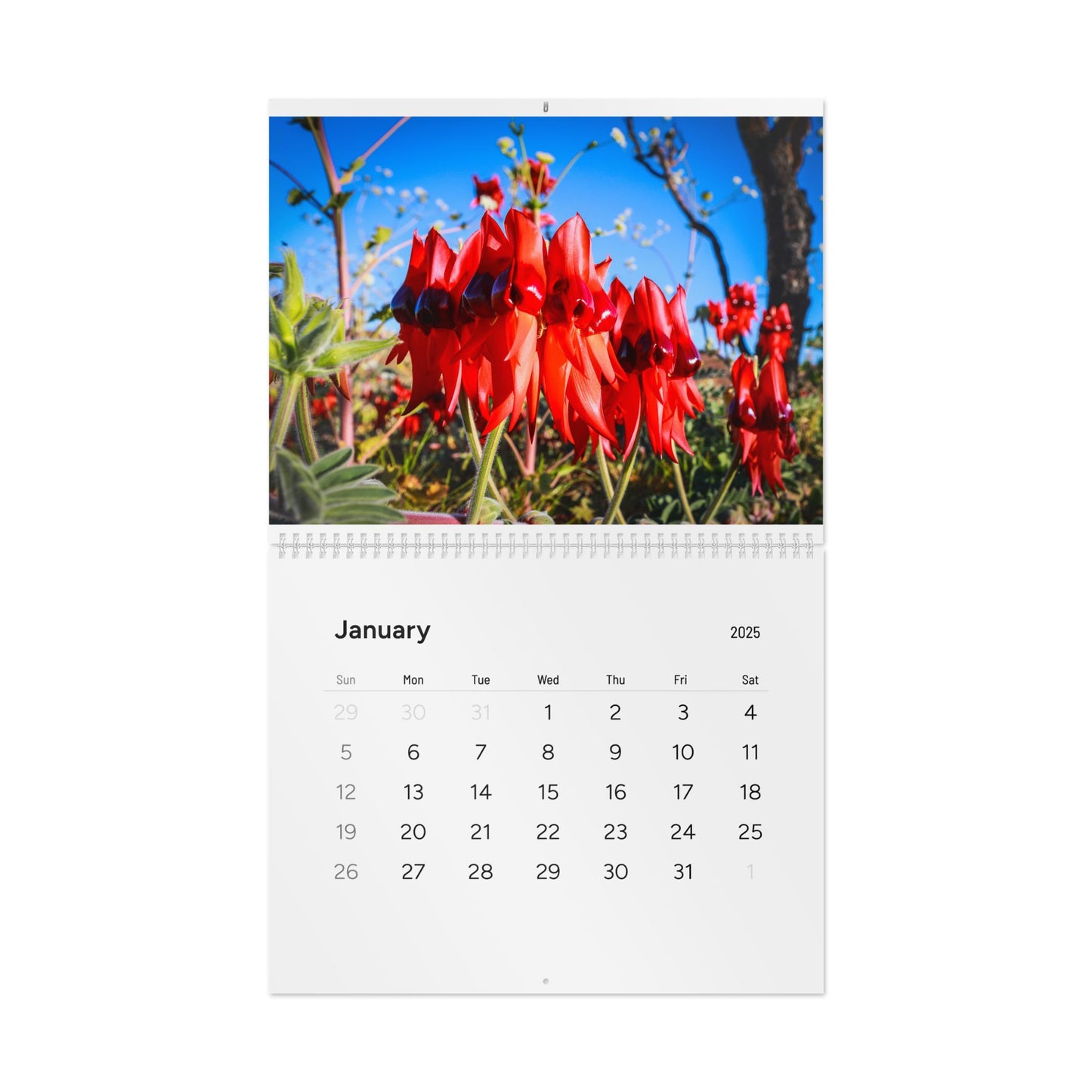 {{ product.title }} | {{ product.type }} from Roebourne Town