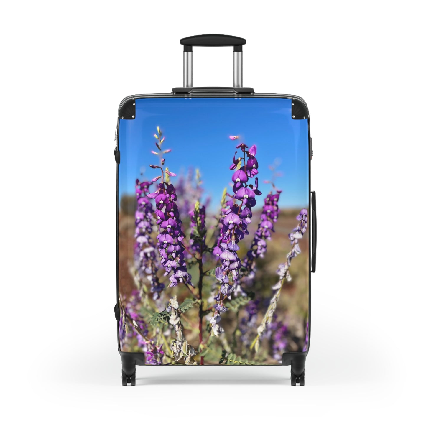 {{ product.title }} | {{ product.type }} from Roebourne Town
