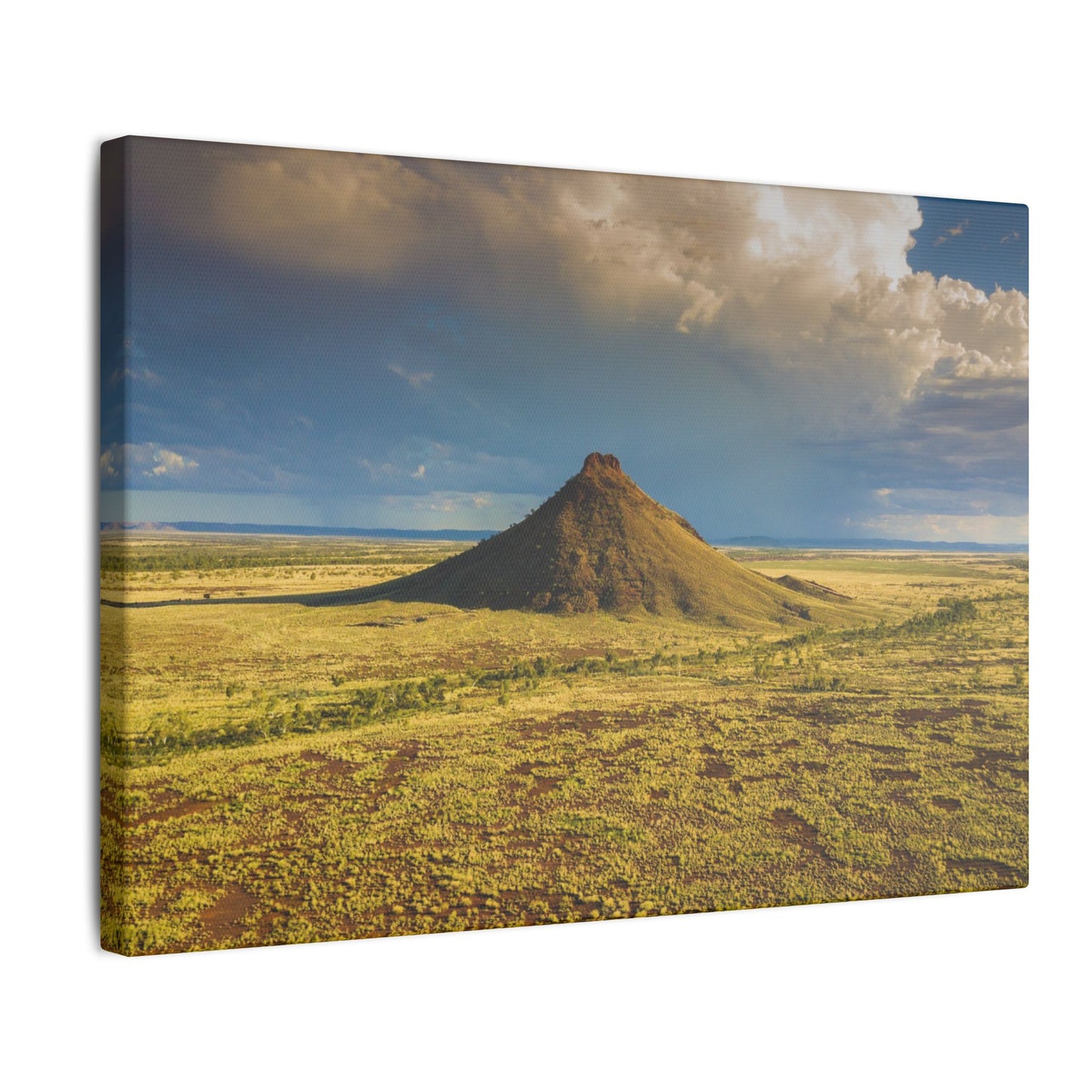 {{ product.title }} | {{ product.type }} from Roebourne Town