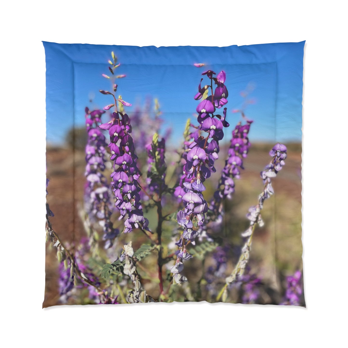 {{ product.title }} | {{ product.type }} from Roebourne Town