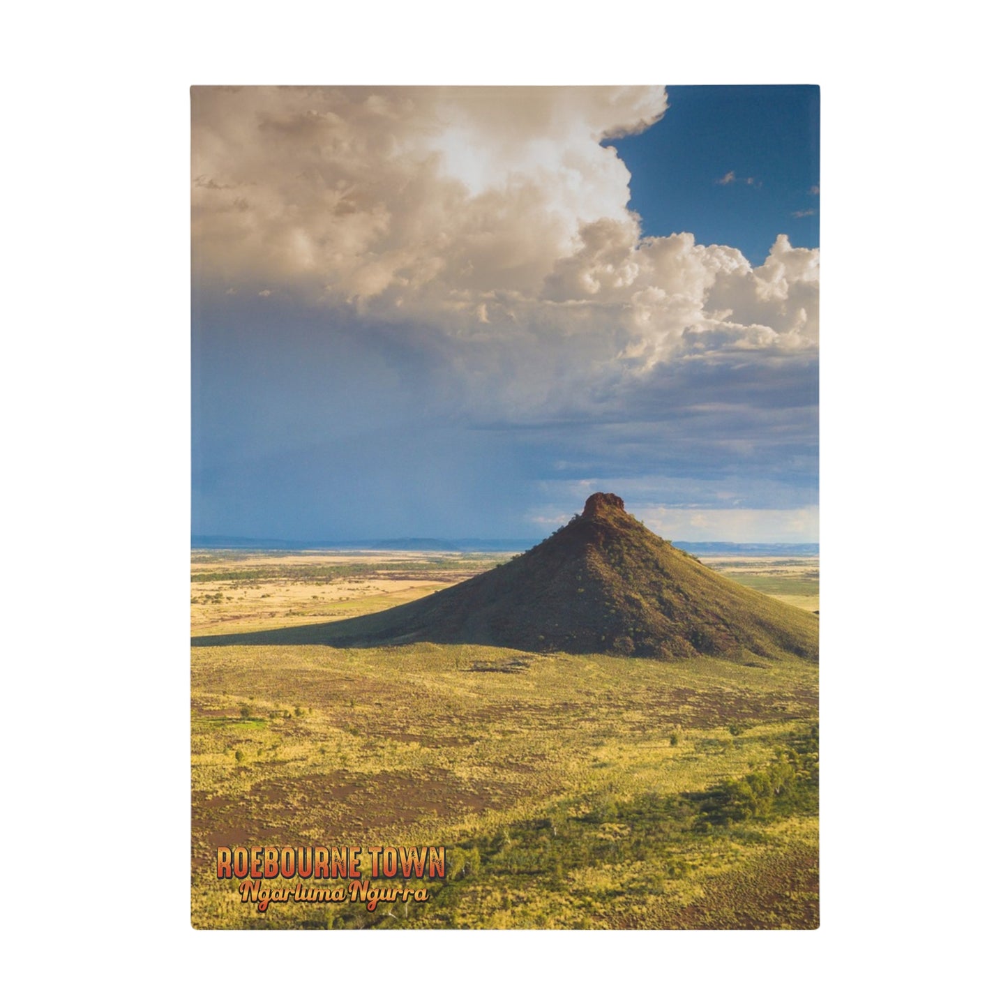 {{ product.title }} | {{ product.type }} from Roebourne Town
