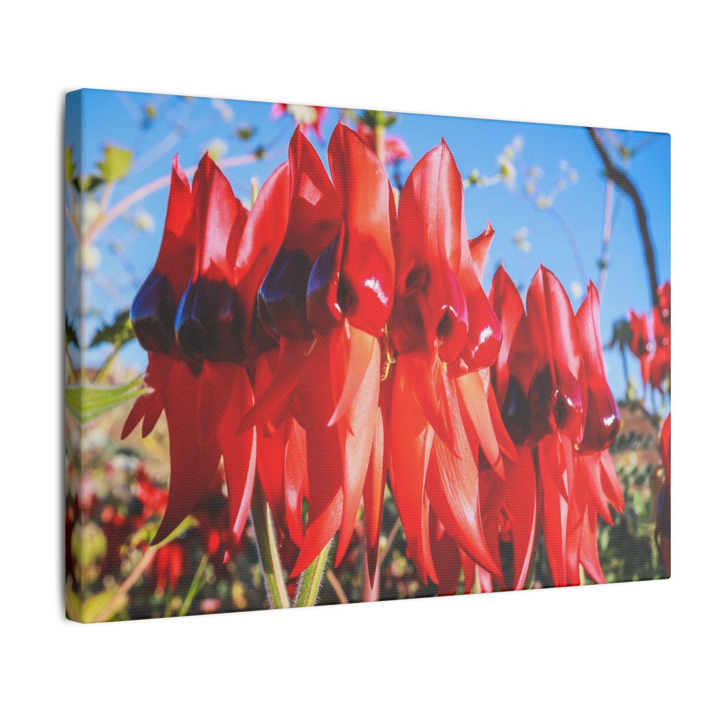{{ product.title }} | {{ product.type }} from Roebourne Town