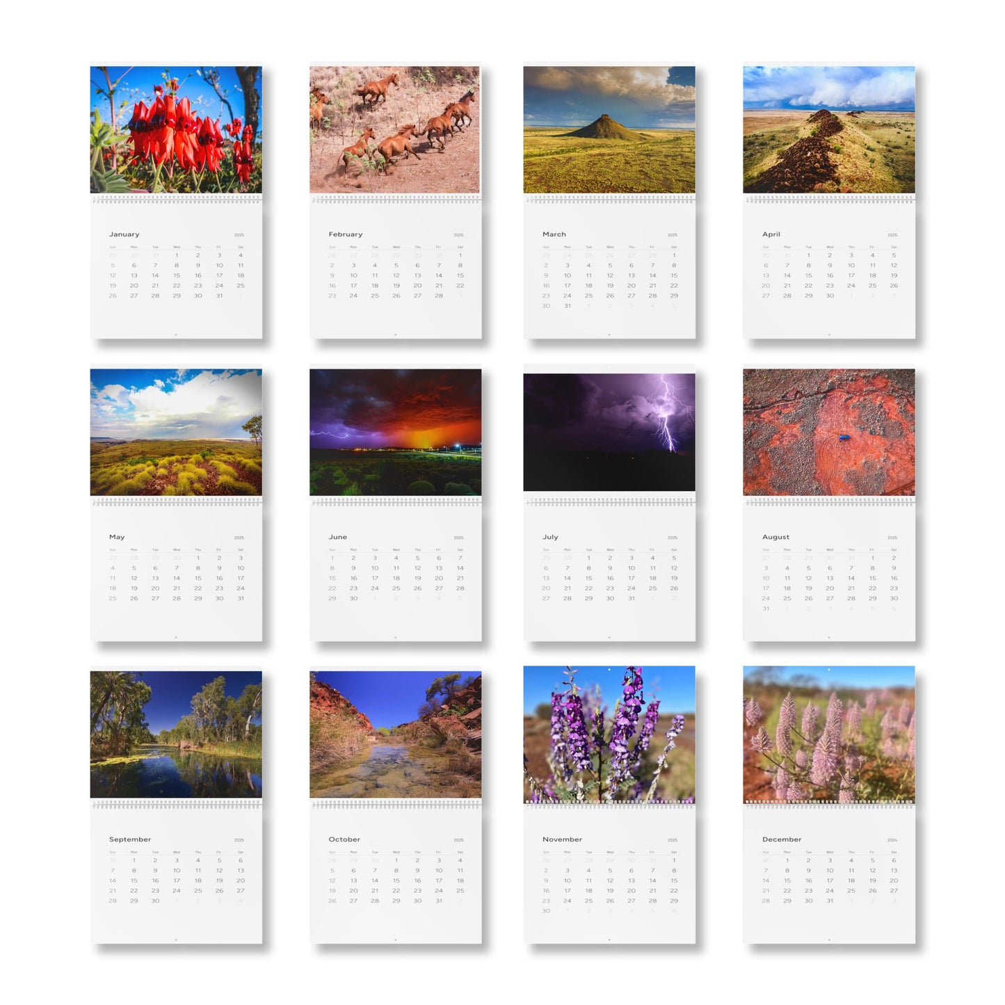{{ product.title }} | {{ product.type }} from Roebourne Town