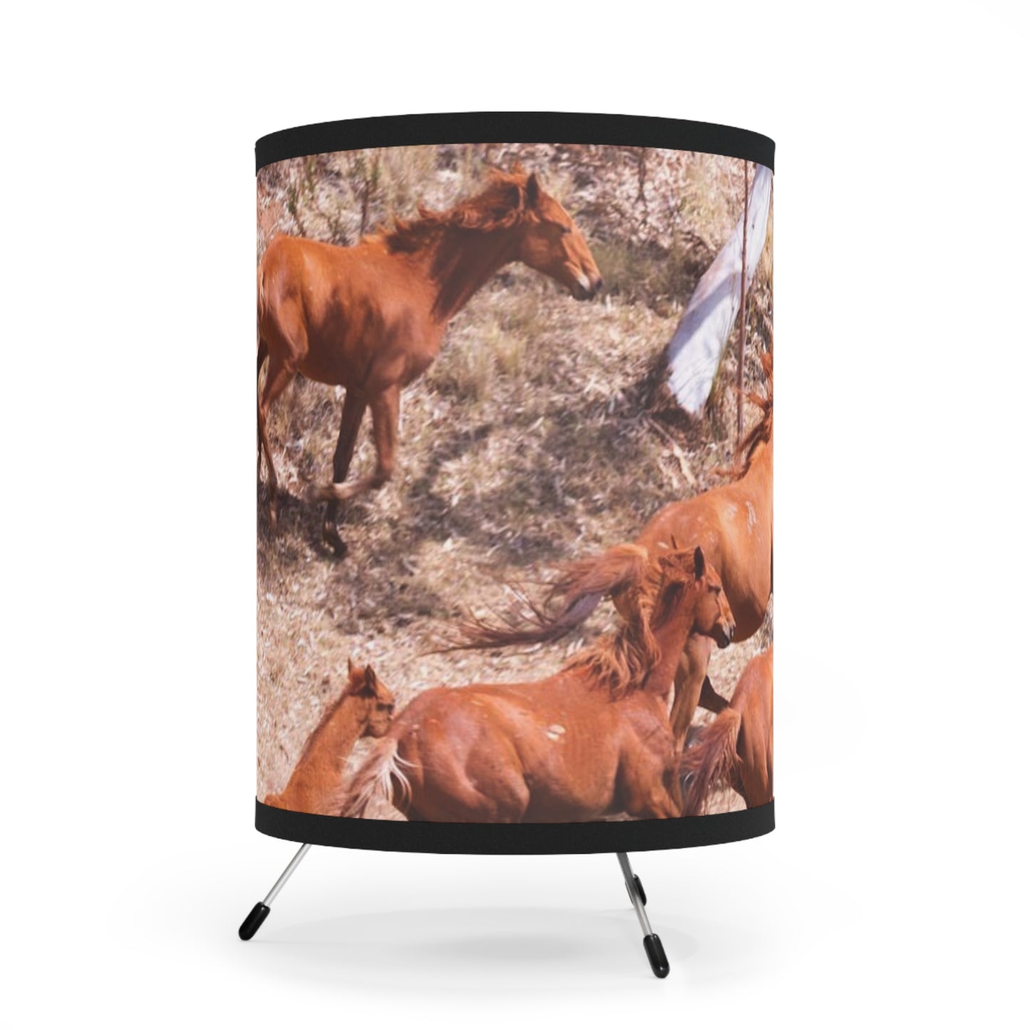 {{ product.title }} | {{ product.type }} from Roebourne Town