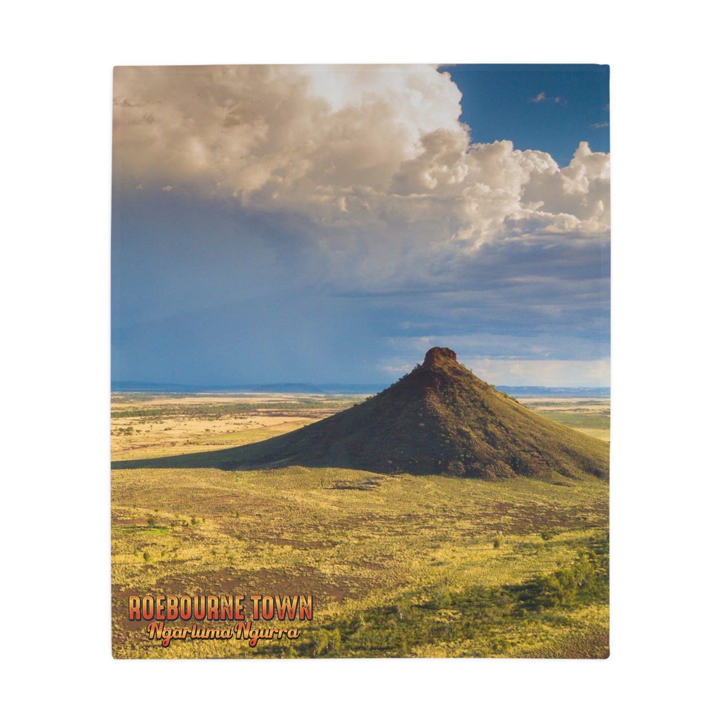 {{ product.title }} | {{ product.type }} from Roebourne Town