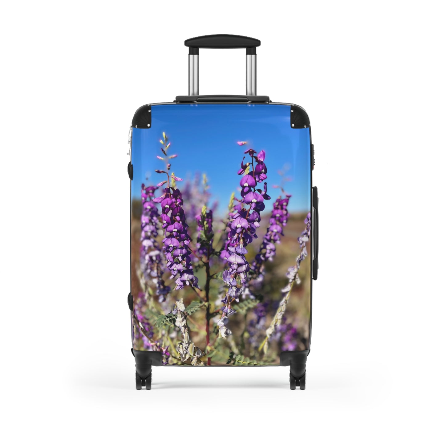 {{ product.title }} | {{ product.type }} from Roebourne Town