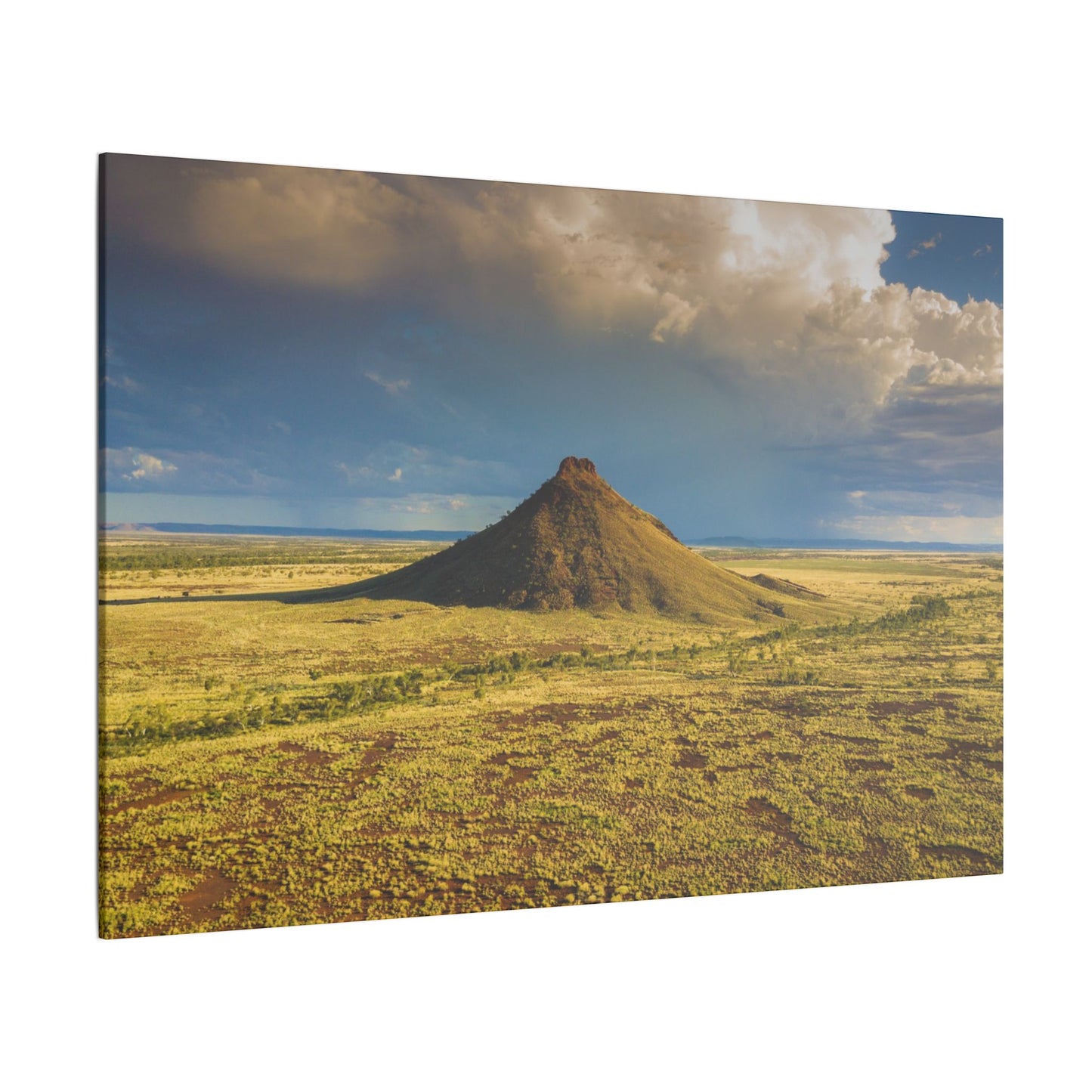{{ product.title }} | {{ product.type }} from Roebourne Town