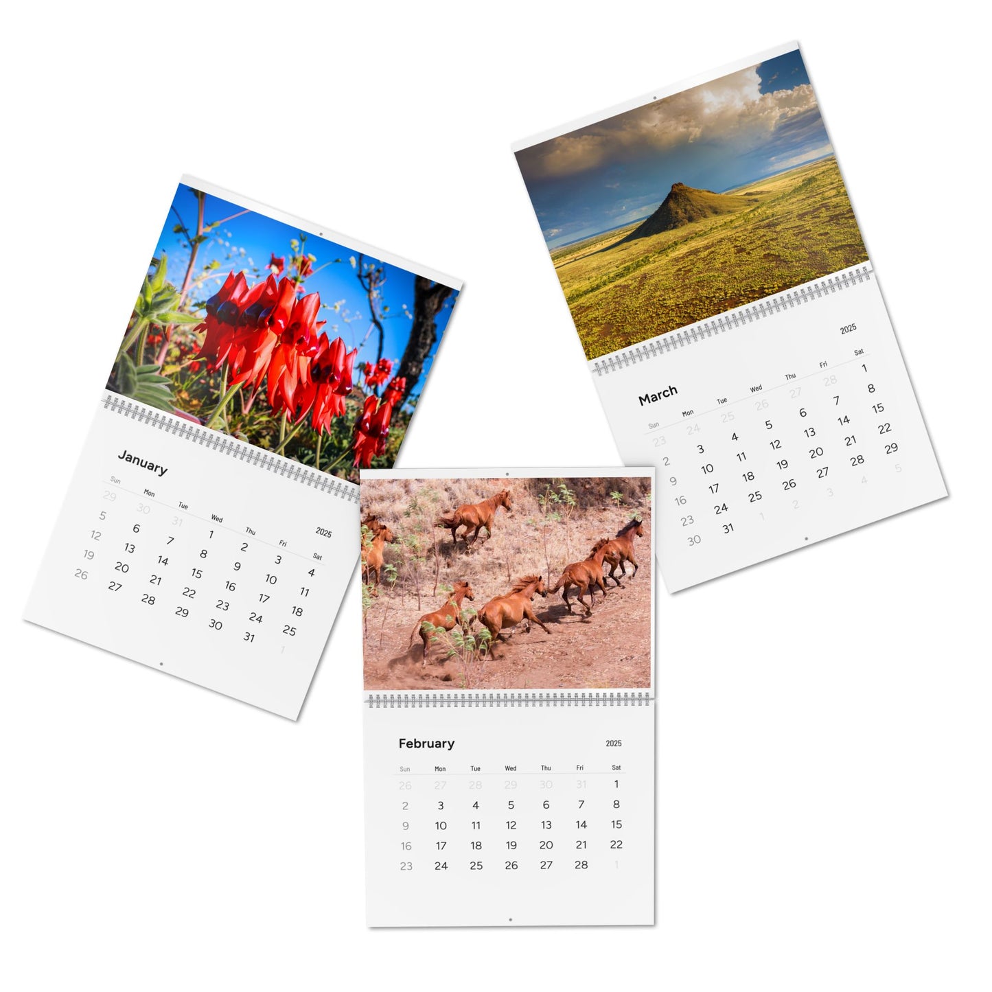 {{ product.title }} | {{ product.type }} from Roebourne Town