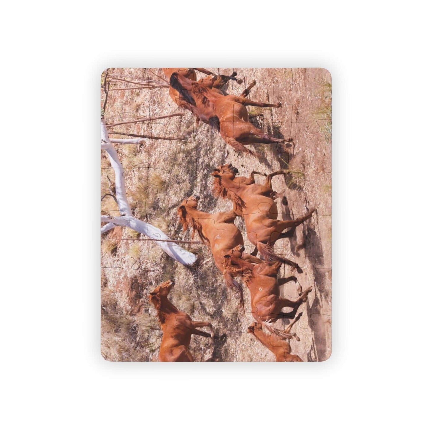 {{ product.title }} | {{ product.type }} from Roebourne Town