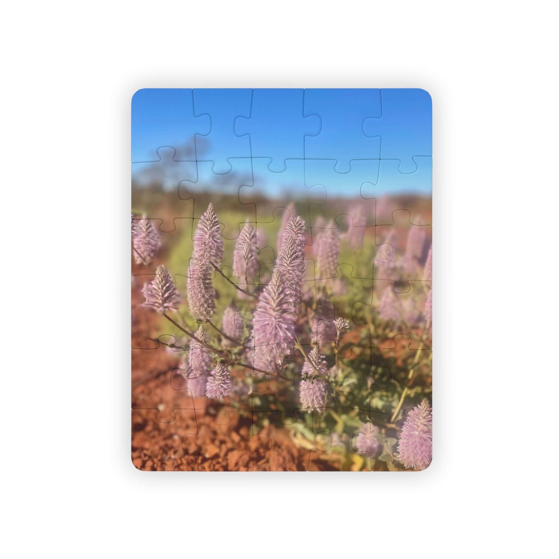 {{ product.title }} | {{ product.type }} from Roebourne Town