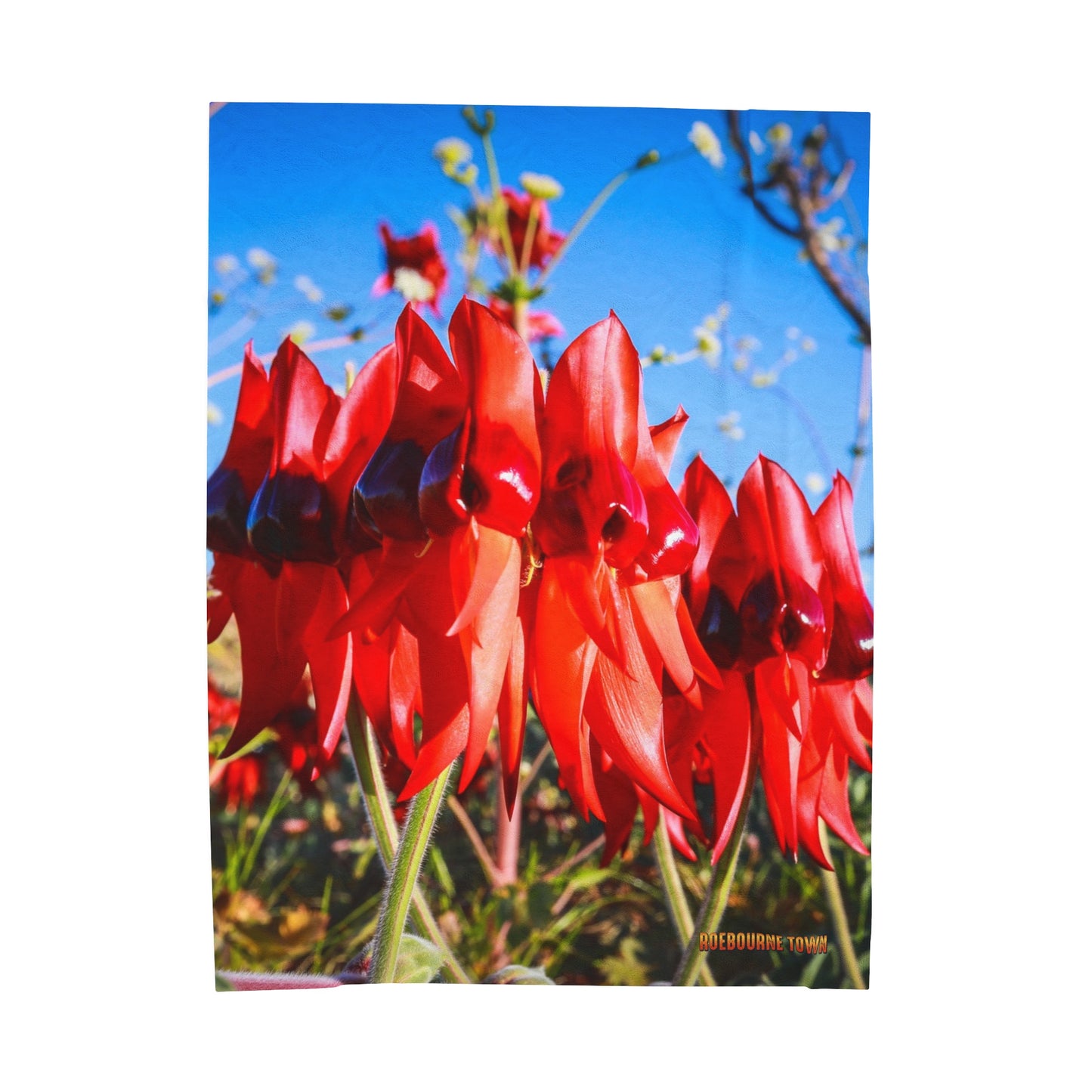 {{ product.title }} | {{ product.type }} from Roebourne Town