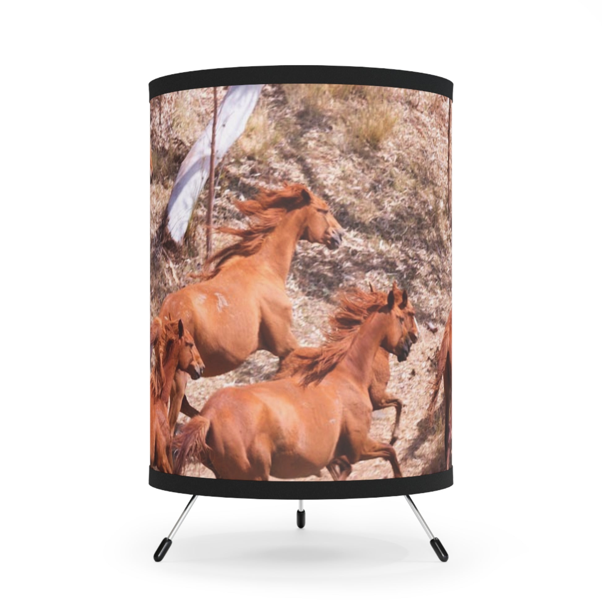 {{ product.title }} | {{ product.type }} from Roebourne Town