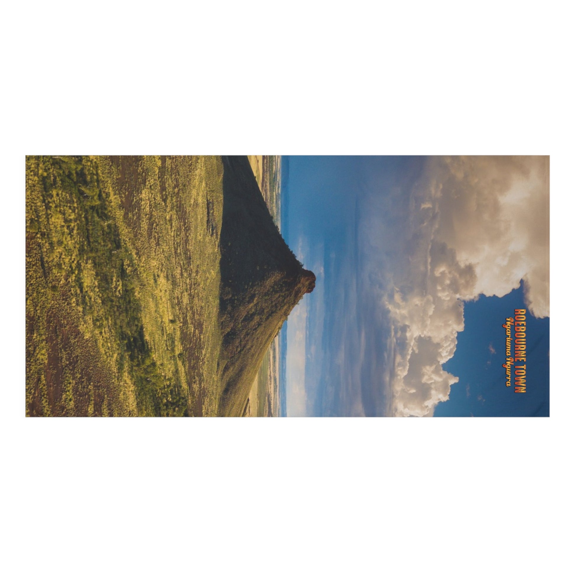 {{ product.title }} | {{ product.type }} from Roebourne Town