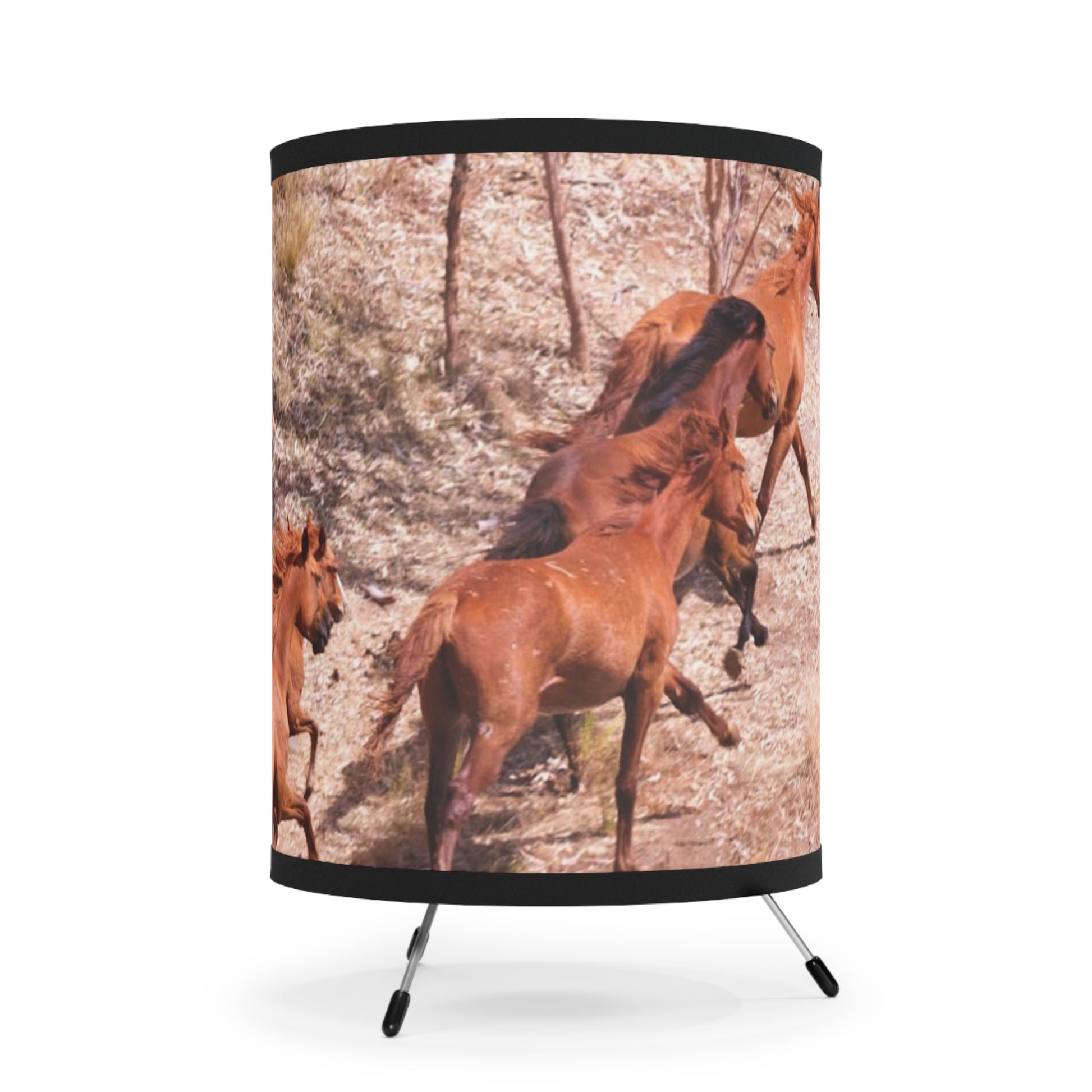 {{ product.title }} | {{ product.type }} from Roebourne Town