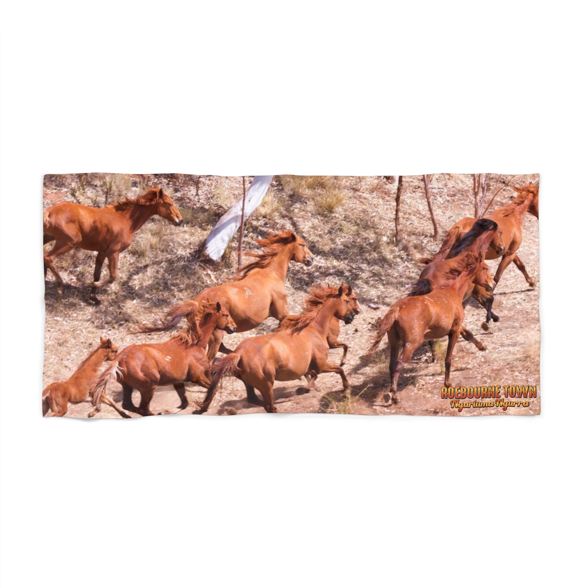 {{ product.title }} | {{ product.type }} from Roebourne Town