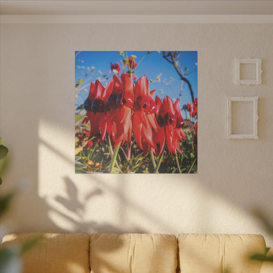 {{ product.title }} | {{ product.type }} from Roebourne Town