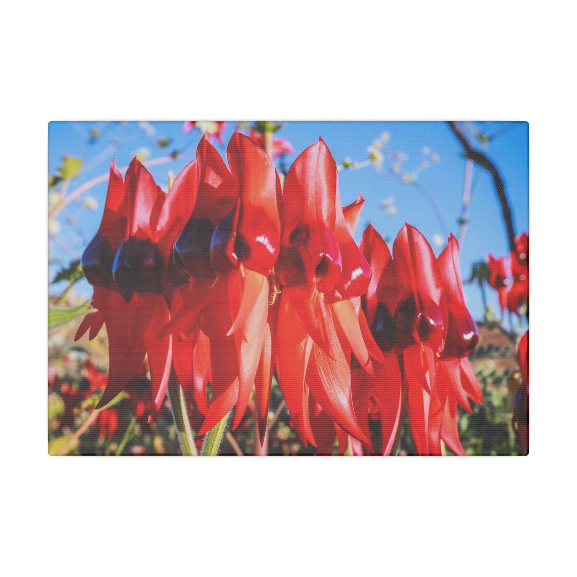 {{ product.title }} | {{ product.type }} from Roebourne Town