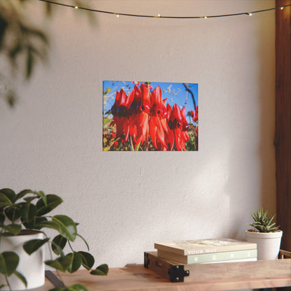 {{ product.title }} | {{ product.type }} from Roebourne Town