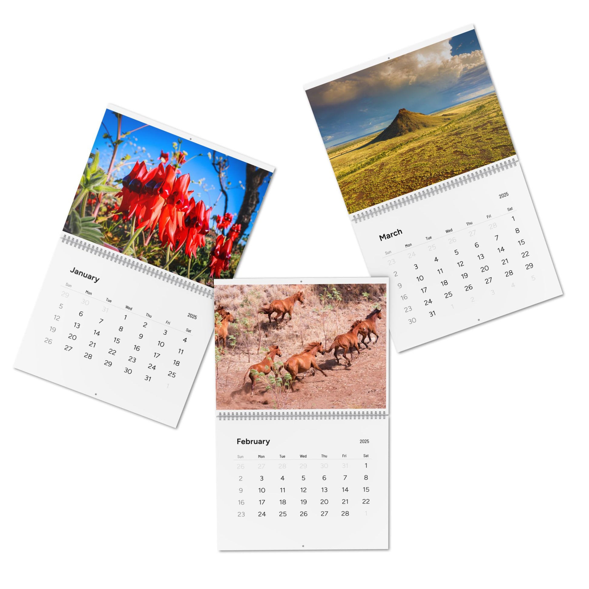 {{ product.title }} | {{ product.type }} from Roebourne Town