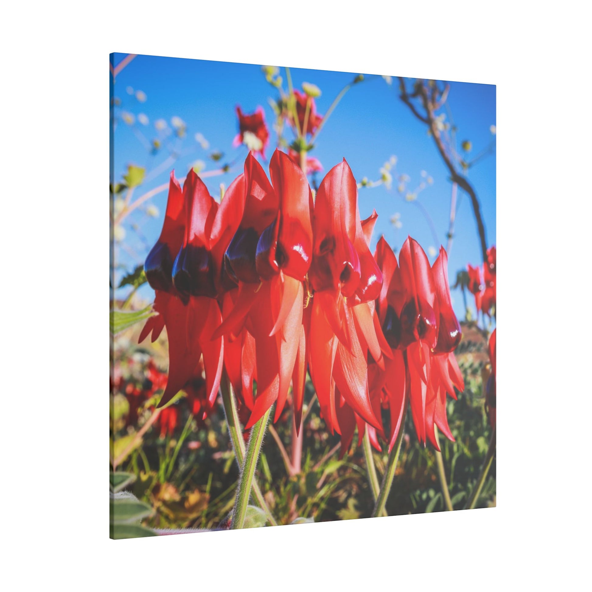 {{ product.title }} | {{ product.type }} from Roebourne Town
