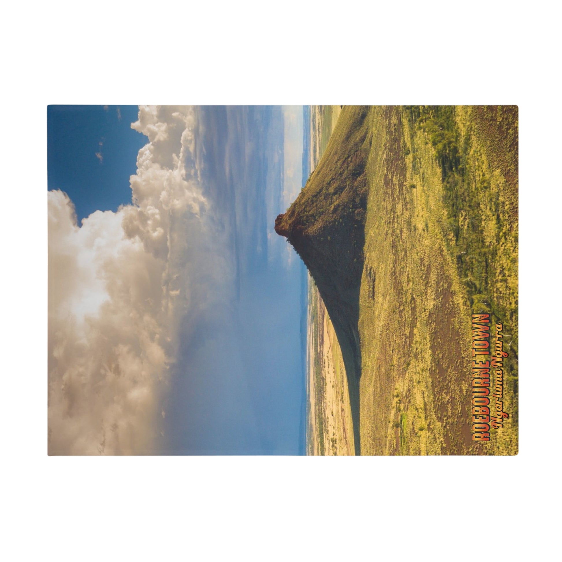 {{ product.title }} | {{ product.type }} from Roebourne Town