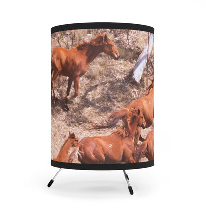{{ product.title }} | {{ product.type }} from Roebourne Town