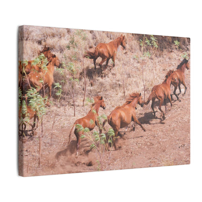 {{ product.title }} | {{ product.type }} from Roebourne Town