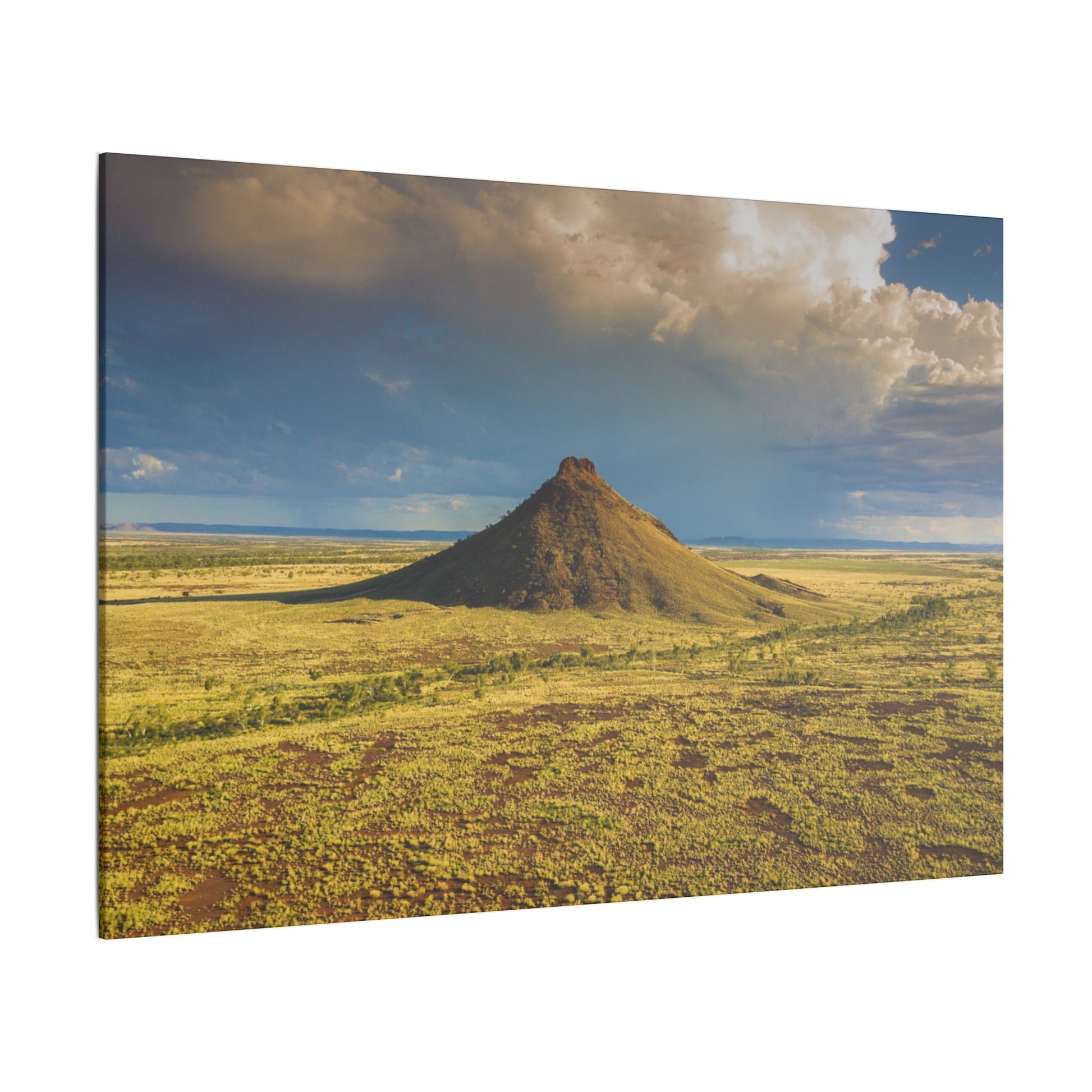 {{ product.title }} | {{ product.type }} from Roebourne Town