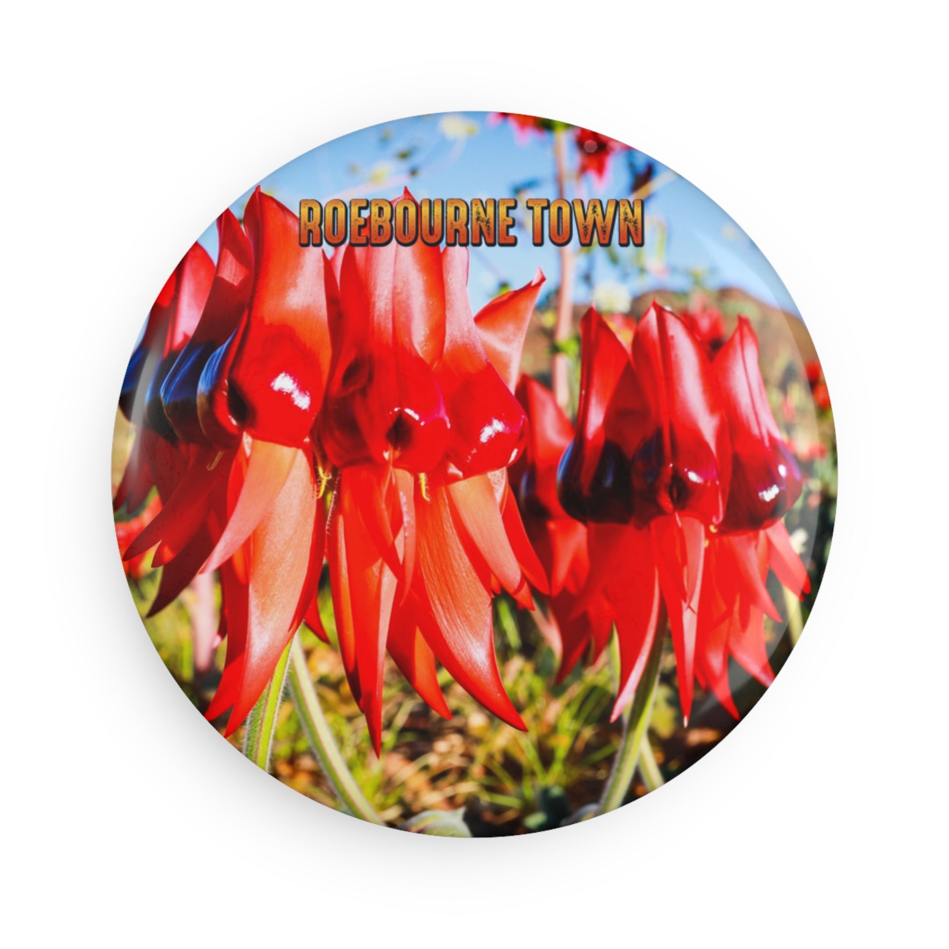 {{ product.title }} | {{ product.type }} from Roebourne Town