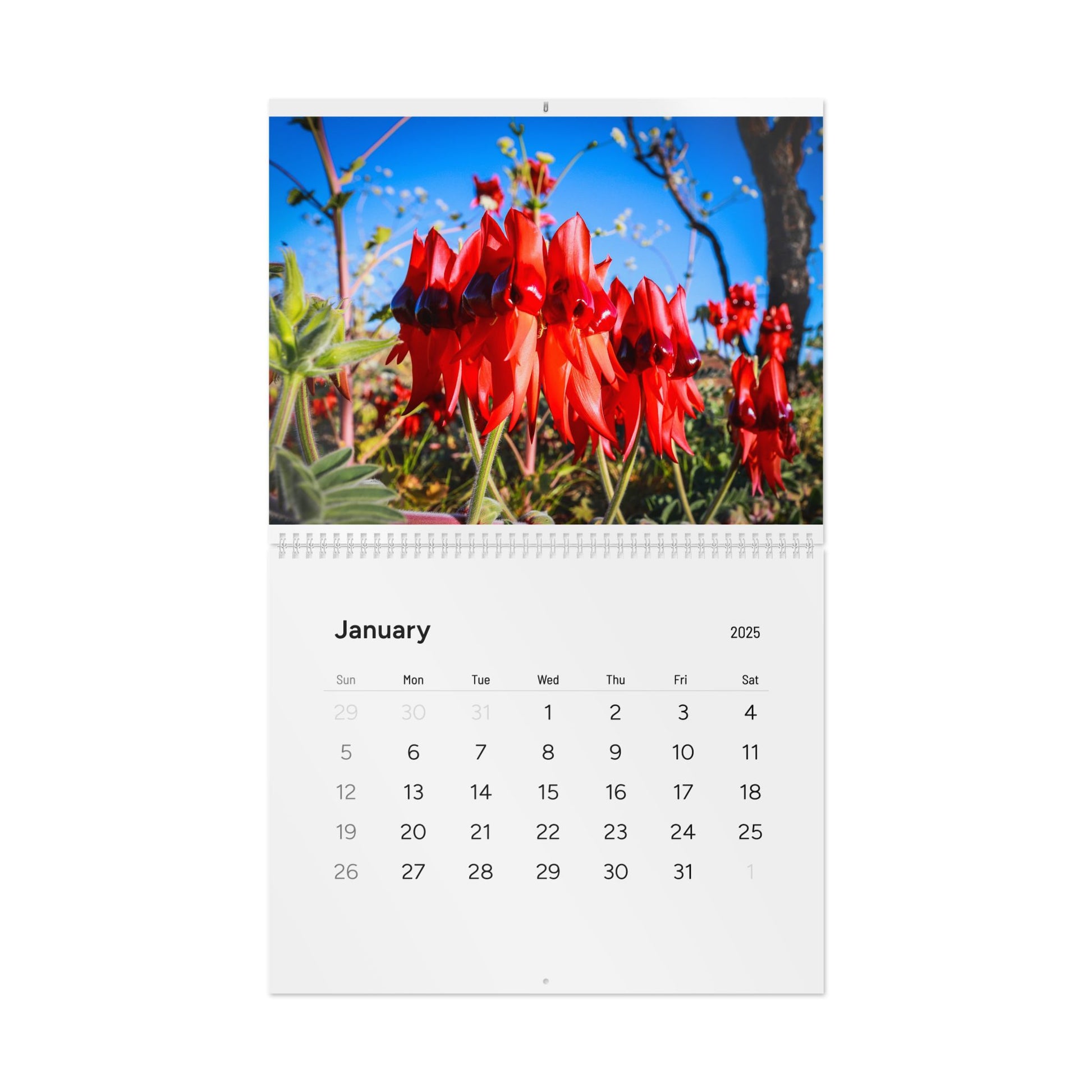 {{ product.title }} | {{ product.type }} from Roebourne Town