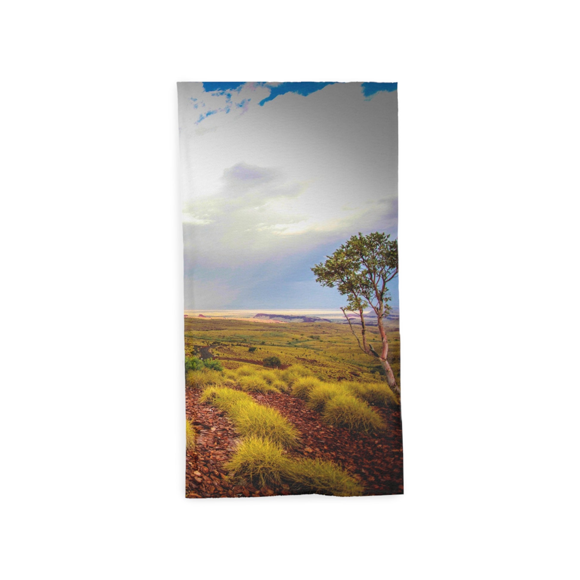 {{ product.title }} | {{ product.type }} from Roebourne Town