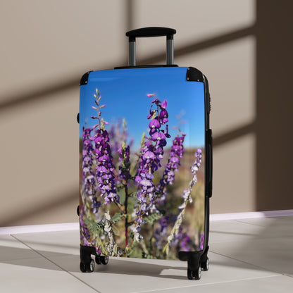 {{ product.title }} | {{ product.type }} from Roebourne Town